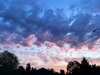 IMG_3783.jpeg