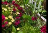 IMG_3928.jpeg