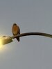 IMG_8611.jpeg