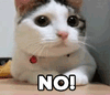 NoGIF.gif