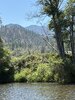 IMG_1177.jpeg