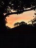 IMG_1650.jpeg