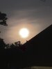 IMG_1653.jpeg