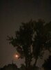 IMG_4039.jpeg