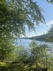 IMG_1919.jpeg