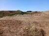 20260815_164503.jpg