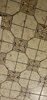 IMG_8386.JPEG