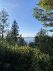 IMG_1952.jpeg