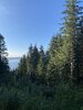 IMG_1955.jpeg