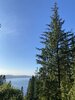 IMG_1953.jpeg
