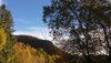 20181006_163814.jpeg