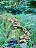 IMG_4995.jpeg
