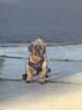 IMG_9804.jpeg