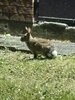 IMG_9688.jpeg