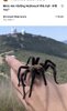 IMG_3085.jpeg