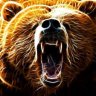 bearclaw27