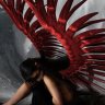 bloodredwings00115