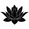 lotusbomb37