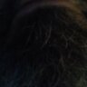 BeardyStu