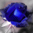 letty