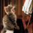 sadcat