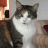 Sassy Cat