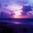 VioletDawn