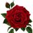 RoseAshes