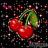 WildCherry