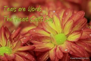 Tears are words the heart cant say 
