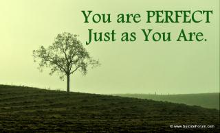 You are perfect Just as you are